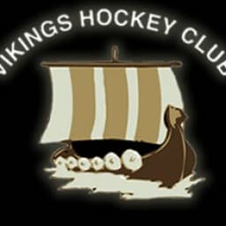 Logo Vikings HC