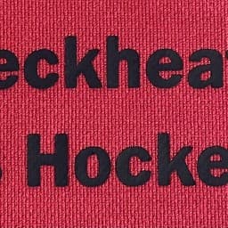 Logo Cleckheaton Ladies